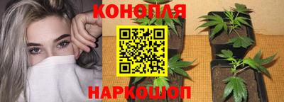 ALPHA PVP Камышлов
