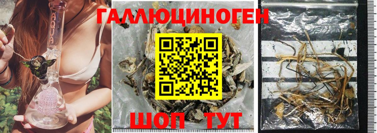 Галлюциногенные грибы прущие грибы Курчатов