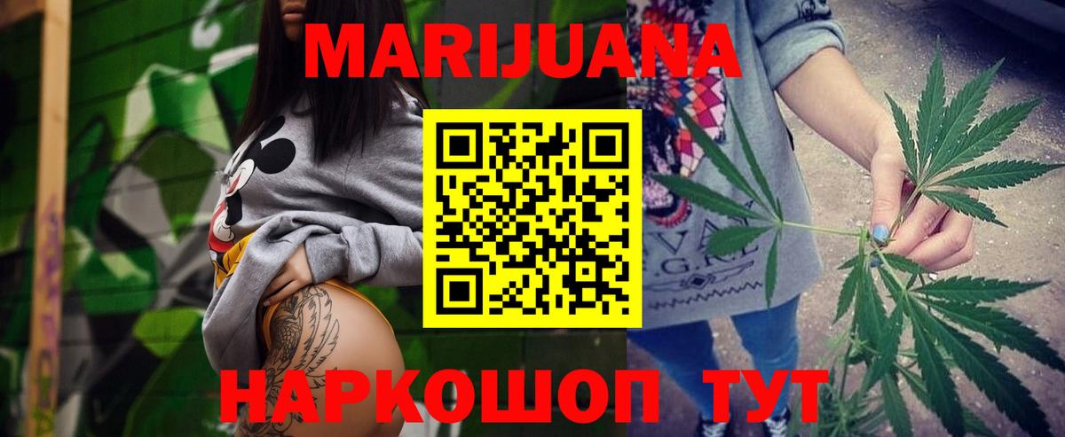Конопля гибрид Курчатов